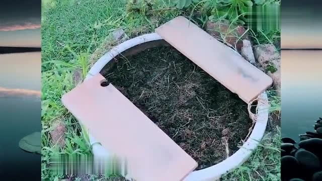 丈母娘的藕缸被洋女婿调侃像厕所,丈母娘来劲了,直接放上两块木板