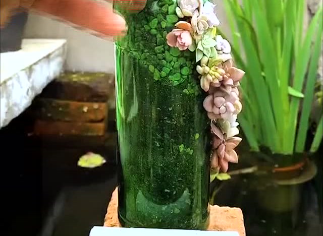 多肉啤酒瓶创意盆栽