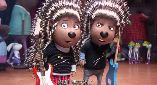 《欢乐好声音》刺猬兄弟白高兴了,没有入围歌唱大赛!