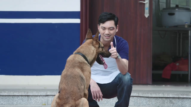 警犬来啦:华哨叼着骨头不吃,原来是等主人一起吃,主人:够哥们