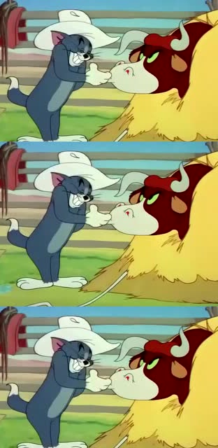猫和老鼠:公牛想顶汤姆但是被汤姆灵活躲开了