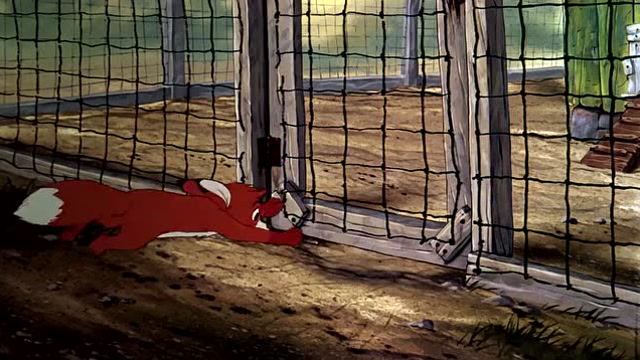 狐狸与猎狗:老大发现小狐狸,快跑啊陶德