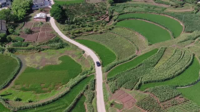 5.29 2020 泸县天洋雷公村