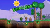 天铭 泰拉瑞亚 1.3手机版 05 前期最安全的空中别墅