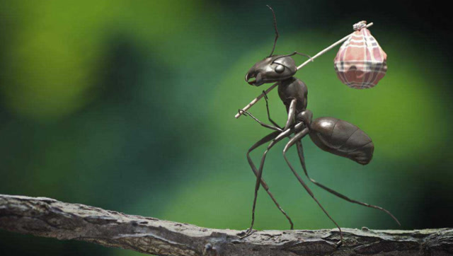 男子生前踩死蚂蚁675次,去世后遭到蚂蚁投诉,只能转世为蝉!