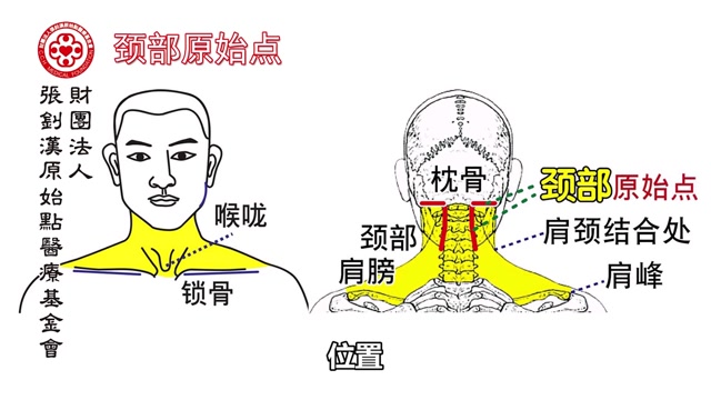 颈部原始点手法-原始点疗法2019最新手法