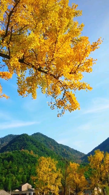 余日秋山,余日秋散  田维荣