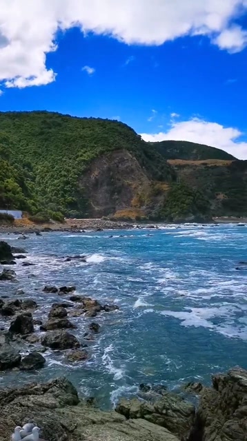 鲸鱼湾,遗憾的是没有看到鲸鱼,但是风景还是很美的.