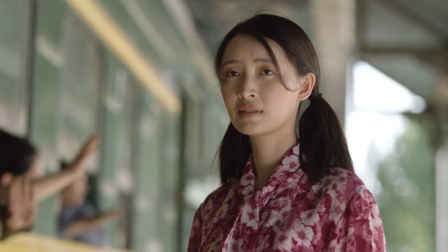 希望的大地:戴杏芳成歌星和马昊分手,田巧妹二婚嫁马昊