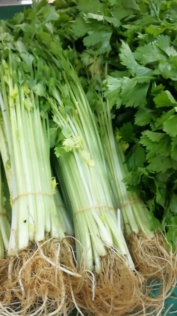 小芹菜,毛芹可炒肉吃,也可榨浆水,清香去火气.