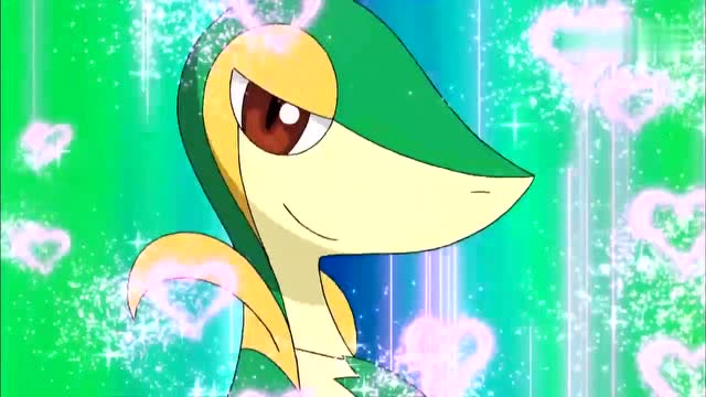 精灵宝可梦:小智阻止皮卡丘,让豆豆鸽对战草系的藤藤蛇