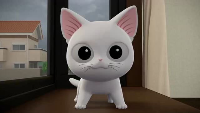 甜甜私房猫:小白白,你在干嘛呢