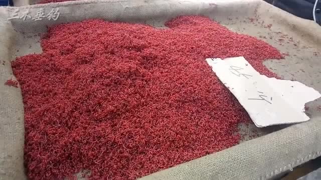 秒杀淘宝:小伙卖红虫!10元一大包——钓友抢着买