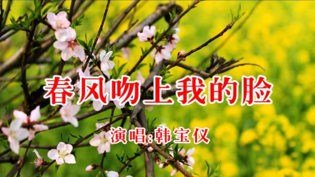 韩宝仪《春风吻上我的脸》,经典金曲,百听不厌!