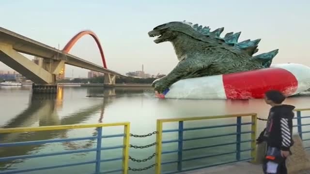 出门遇到哥斯拉在游泳,现在条件好了,哥斯拉都喝上可乐了!