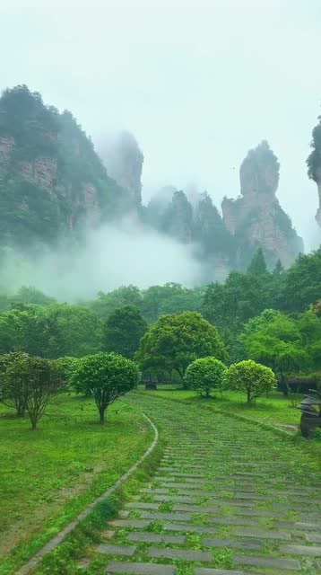 好想住到这人间仙境犹如诗画的张家界