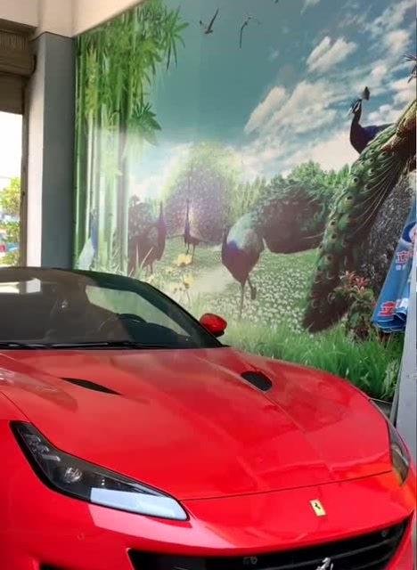 疫情期间缅甸富豪老板娘秀新提的豪车,听说还缺个开门的司机,真想去试