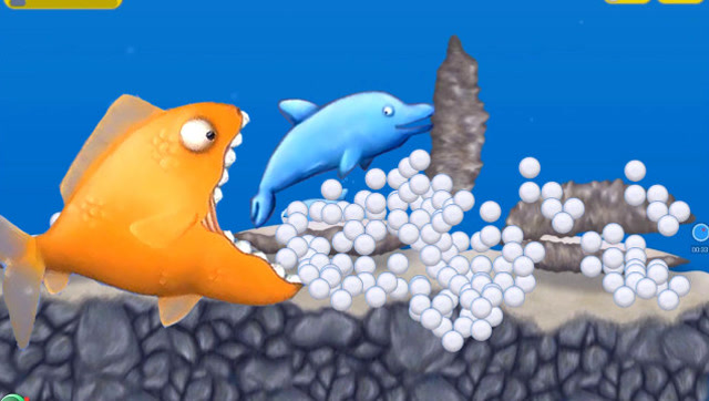 美味深蓝:海豚在3个贝壳之间抢珍珠,真的容易吗