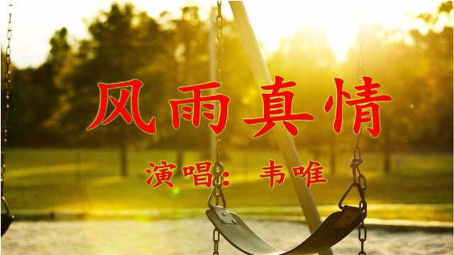 经典老歌风雨真情经历岁月久得遇知己难更加懂得真情暖