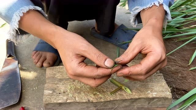 云南草帽哥用竹子做了一个哨子,简单易学,还挺好玩