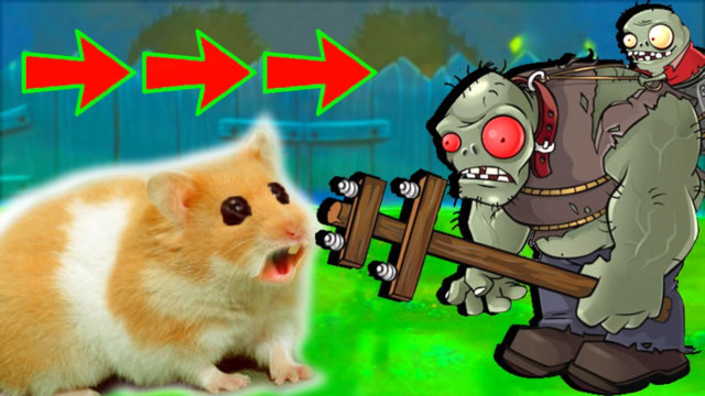 仓鼠大战僵尸军团,惊险一幕差点成为口中鼠,腿短也是成优势!