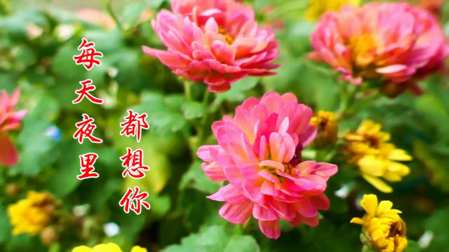 让泪化成相思雨 qq个性签名_qq飞车怎么让个性签名_划过的泪水,化成相思的雨