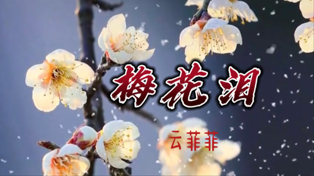 云菲菲《梅花泪》图片