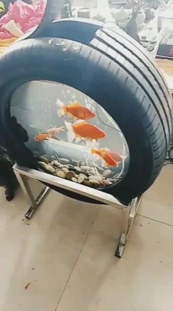小伙利用废弃轮胎,改造的鱼缸,看起来还不错吗