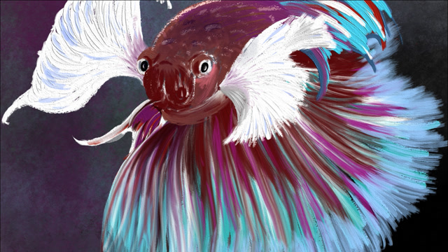 新年画鱼,年年有余,高鳍红剑作品