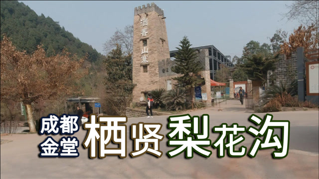 离成都六十公里的冷门景区—金堂栖贤梨花沟,梨花开没有?