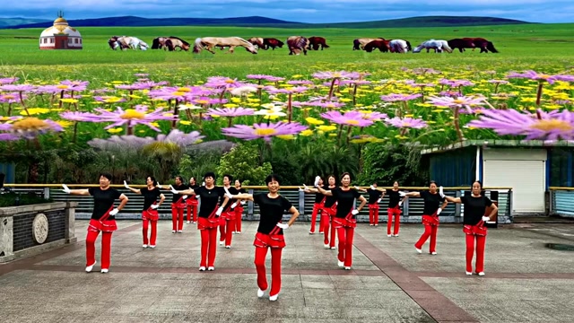 梦之队快乐之舞第17套健身操自由运动 骄阳舞韵广场姐妹学跳演示