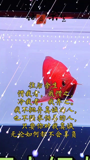 往后余生好好珍惜