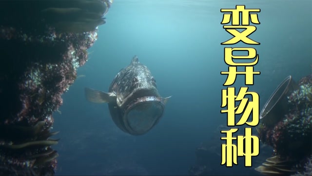 核废水变异鱼电影图片
