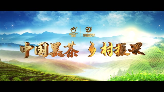 《中国黑茶 乡村振兴》2021理想华莱企业宣传片