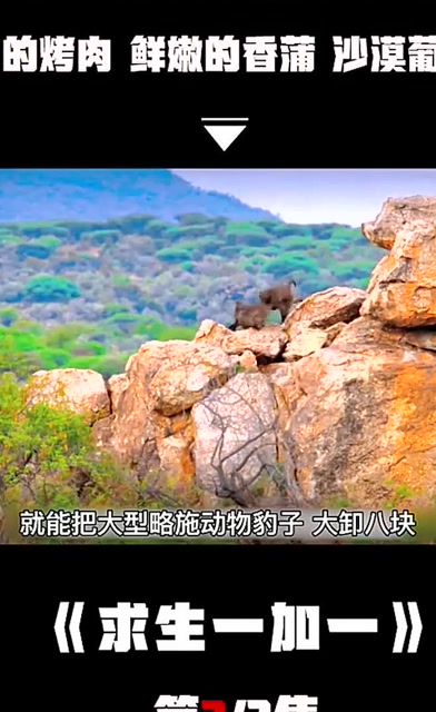 荒野求生,乔和马特被狒狒包围,两人只能从山上速降而下