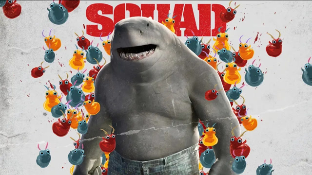 dc鲨鱼王身穿花里胡哨五分裤,一只萌憨憨准备融化你的心!