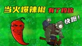 植物大战僵尸：当火爆辣椒有了段位，钻石出场僵尸都被吓跑了？