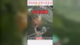 【永劫无间】不讲武德