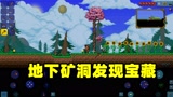 泰拉瑞亚02：深入矿洞，多往前走一步，多米发现了宝藏