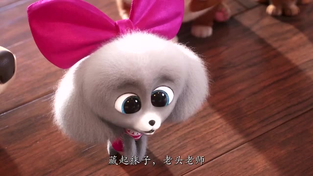 爱宠大机密:几小只当场卖萌,老狗立马沦陷,决定留下老虎