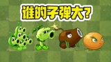 植物大战僵尸：pvz子弹最大的植物？一发过去，横扫一排僵尸！