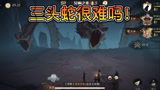 哈利波特魔法觉醒：打五星异响之兆三头蛇很难吗！烟花钻心稳过