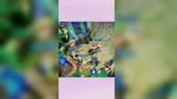 王者荣耀：这个猪对吗
