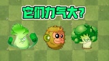 植物大战僵尸：力气最大的植物？猕猴桃的定海神针重达万斤！
