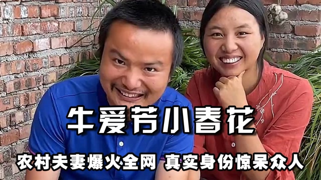 牛爱芳的小春花记录农村日常被指有团队操纵真实身份惊呆众人