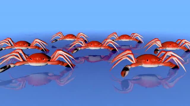 万物皆可跳舞系列!熟螃蟹的《极乐净土》这是一个可以吃的视频