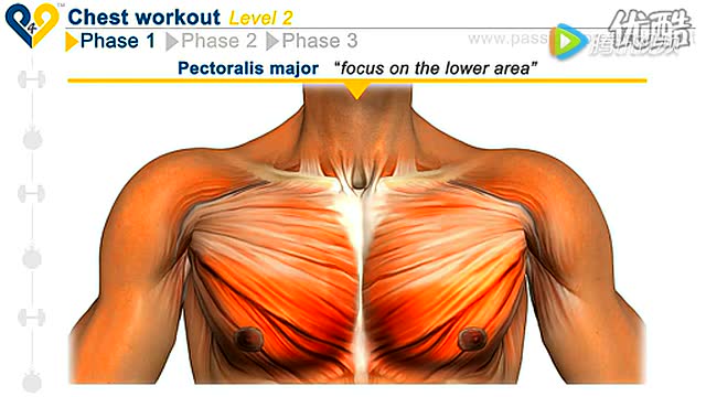胸肌撕裂者第二阶段图片