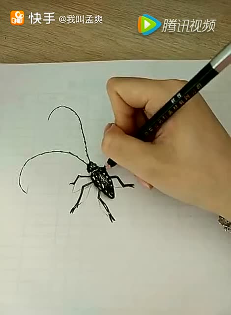 一支铅笔画出3d立体天牛