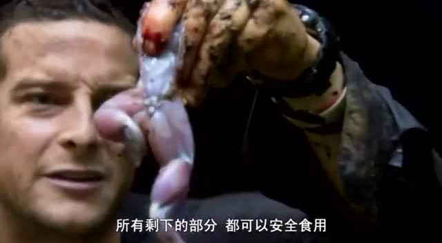 看贝爷吃青蛙,总感觉我们又炒又煮的是多余的