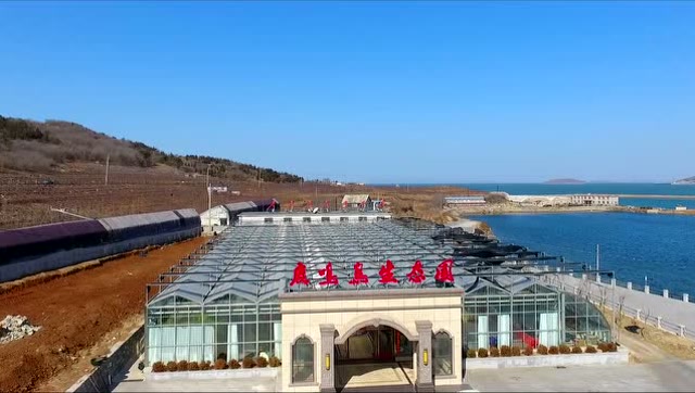 大连金普新区-品魏农场-鹿鸣岛生态园